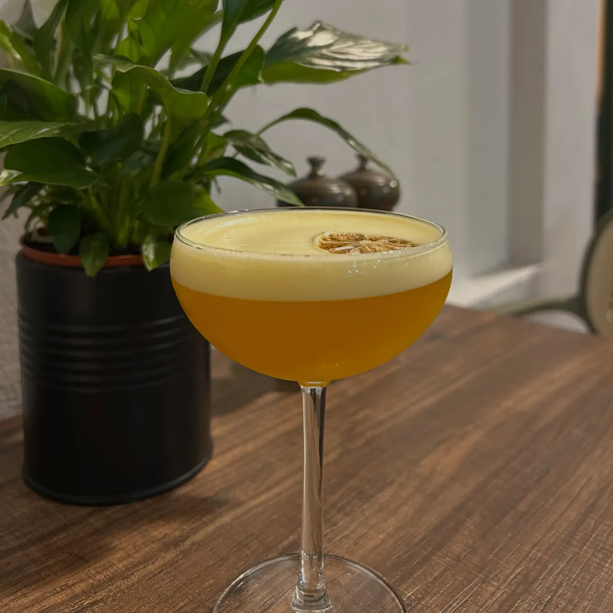 A cocktail served in a coupe glass with a dried citrus wheel, on a wooden table beside a plant
