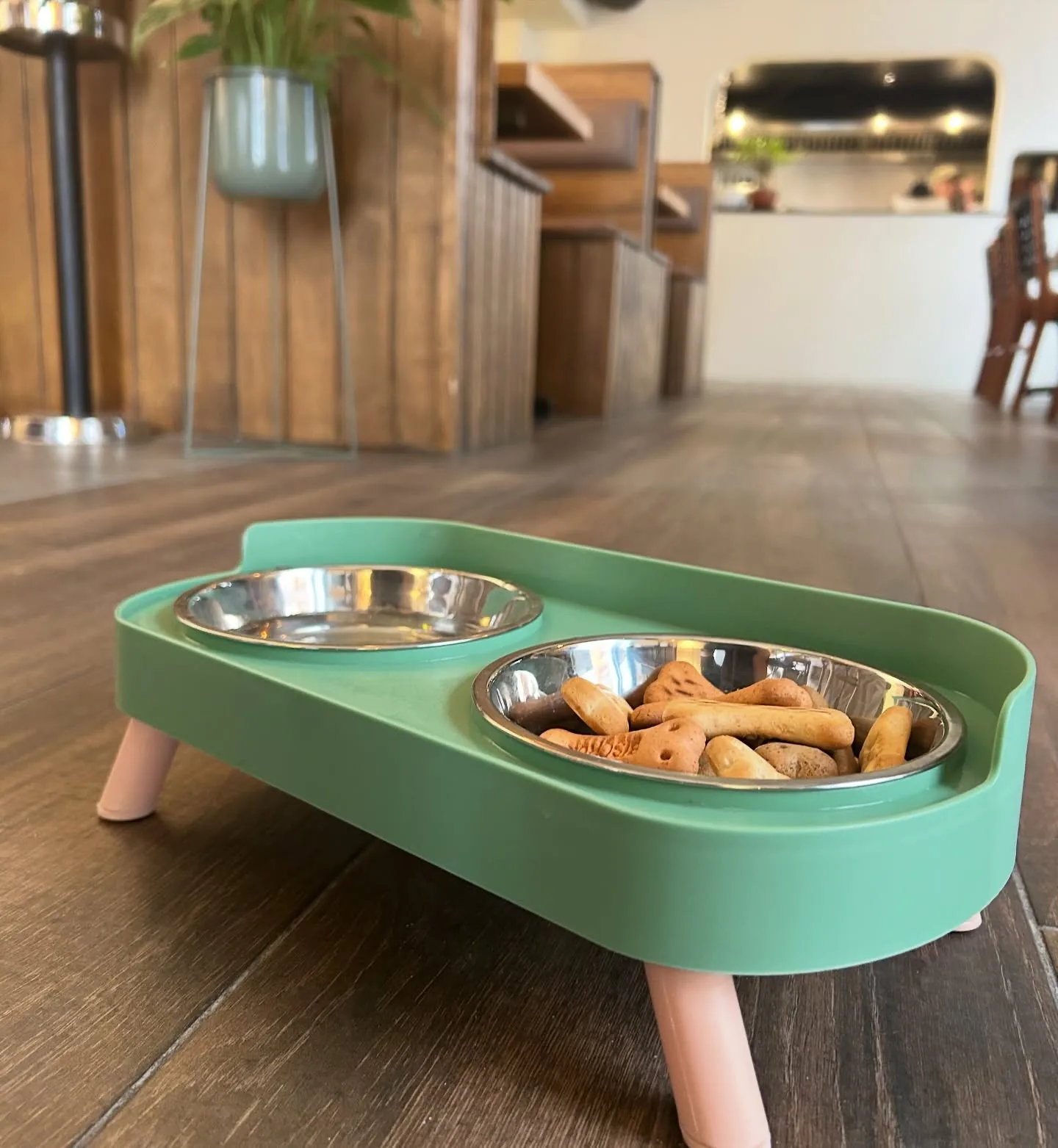 A green raised dog bowl with fresh water and biscuits by the door at Brizola